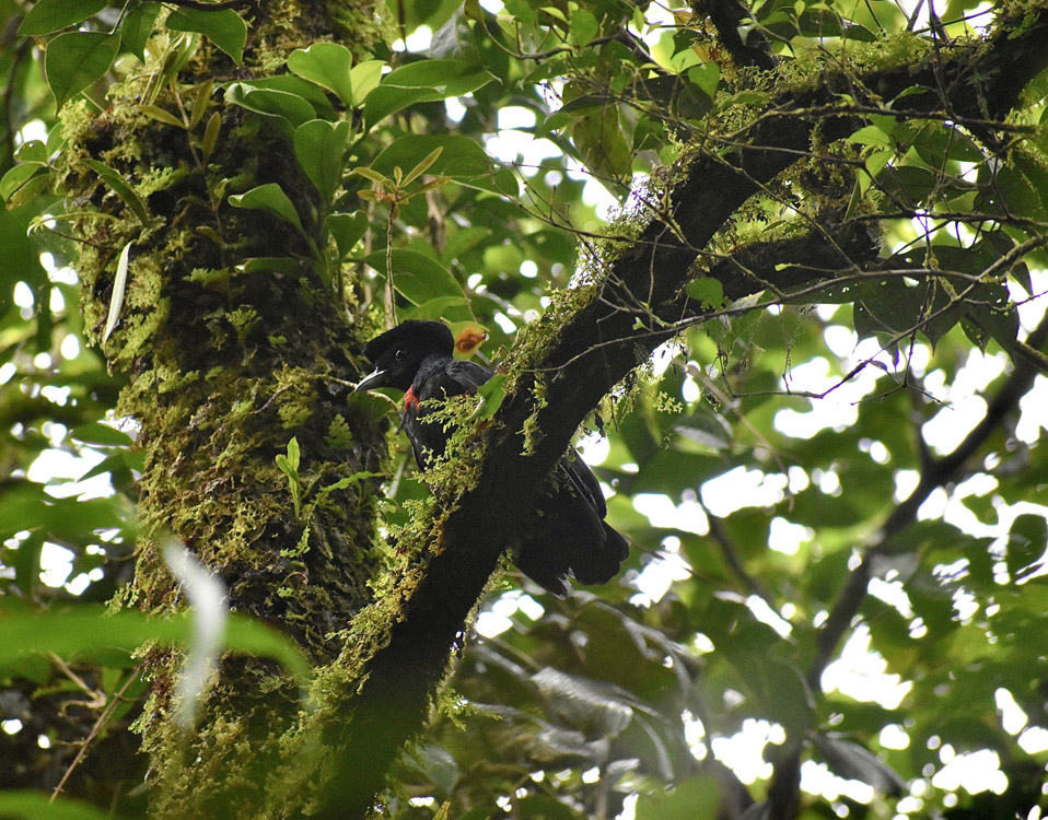 gallery-rio-celeste-13