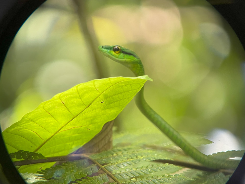 gallery-rio-celeste-18