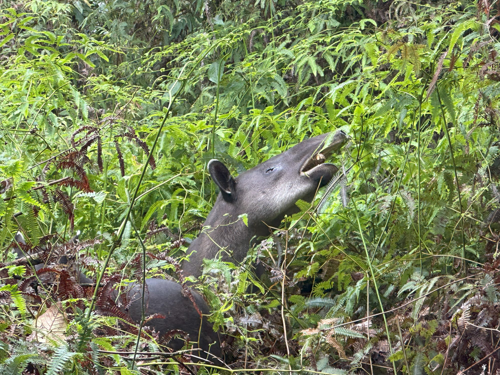 gallery-rio-celeste-24