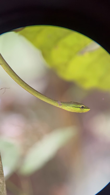 gallery-rio-celeste-25