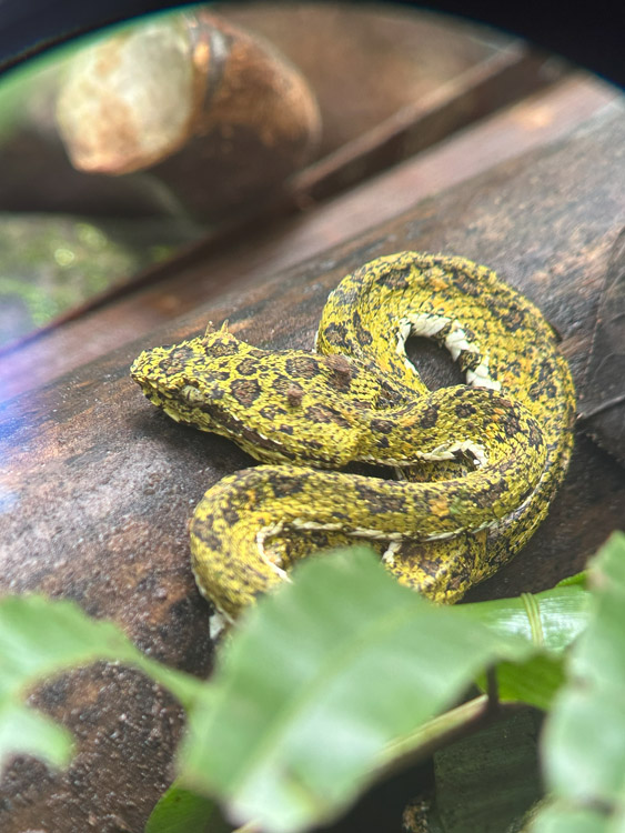 gallery-rio-celeste-27