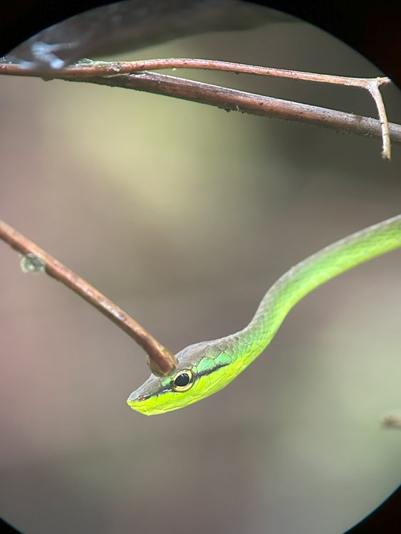 gallery-rio-celeste-29