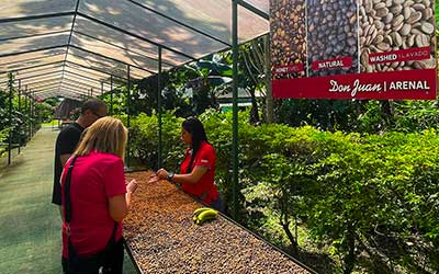 Chocolate & Coffee Tour