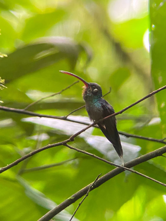 gallery-birdwatching-tour-05