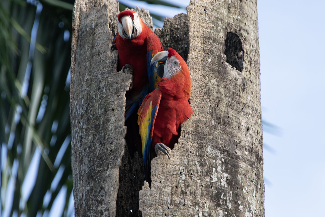 gallery-birdwatching-tour-09
