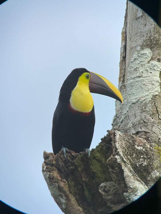 gallery-birdwatching-tour-12