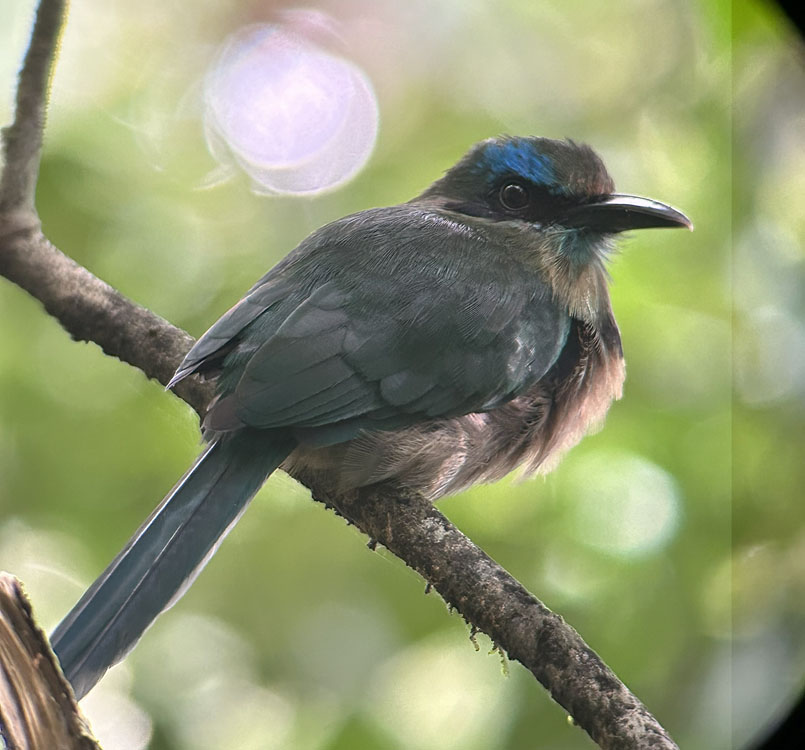 gallery-birdwatching-tour-14