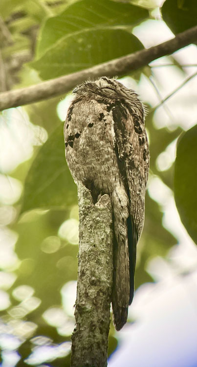 gallery-birdwatching-tour-15