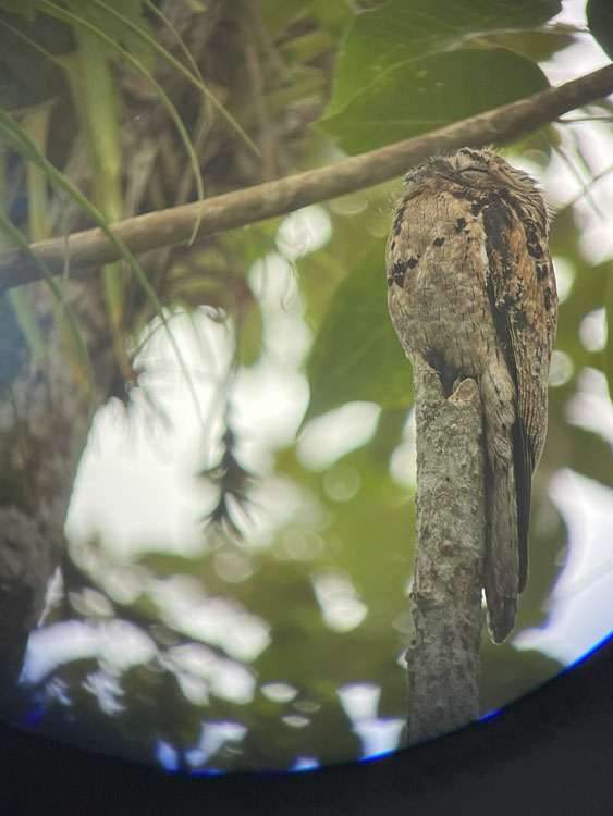 gallery-birdwatching-tour-16