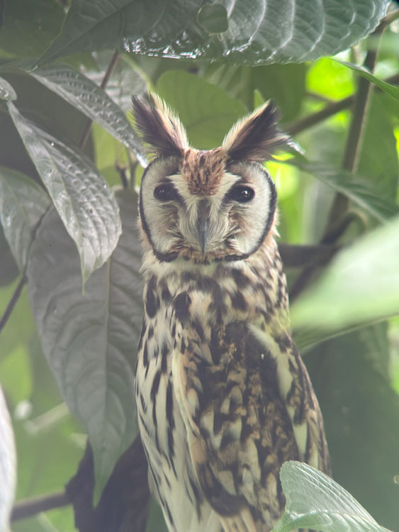 gallery-birdwatching-tour-20