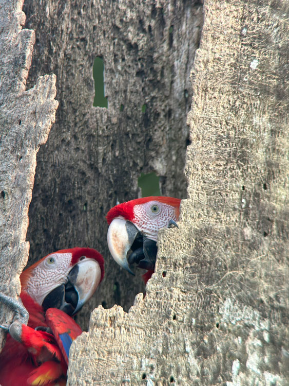 gallery-birdwatching-tour-22