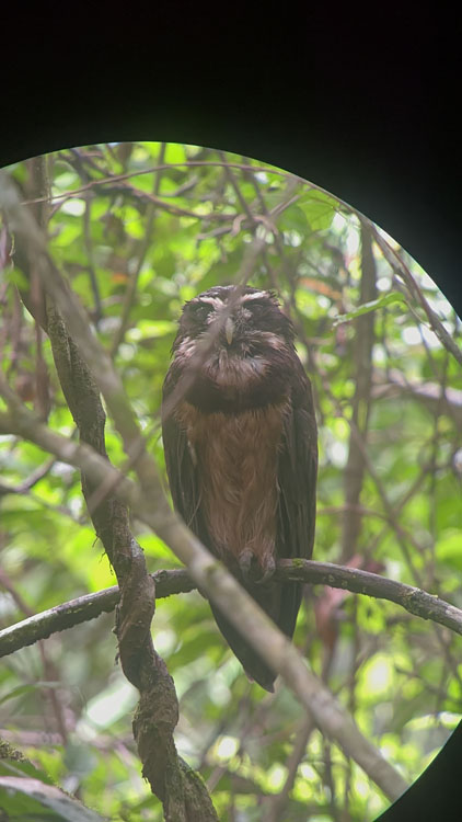 gallery-birdwatching-tour-27