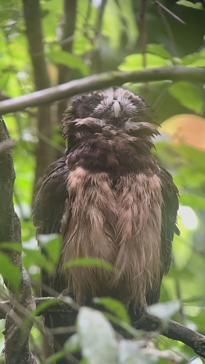 gallery-birdwatching-tour-28