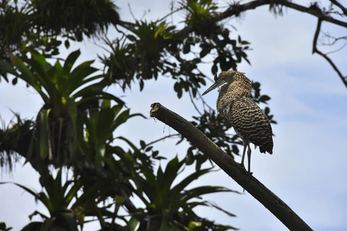 gallery-birdwatching-tour-30