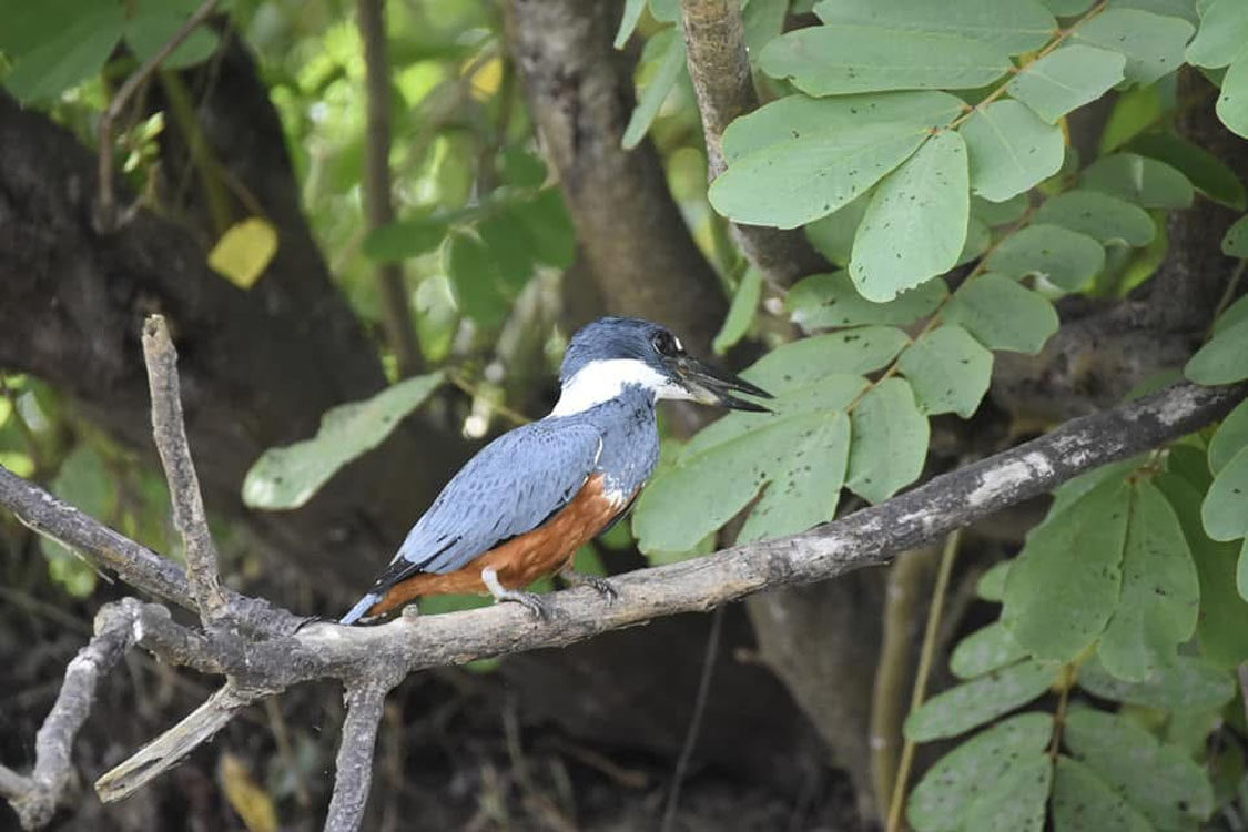 gallery-birdwatching-tour-31