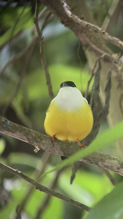 gallery-birdwatching-tour-33