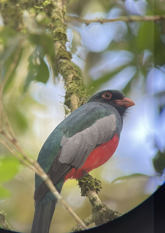 gallery-birdwatching-tour-35