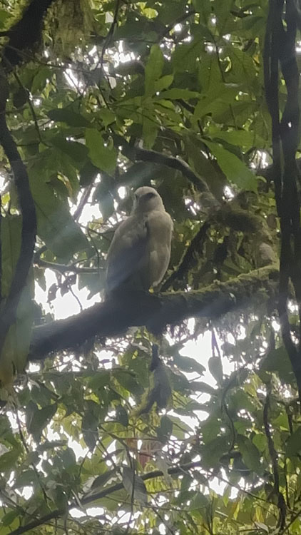 gallery-birdwatching-tour-36