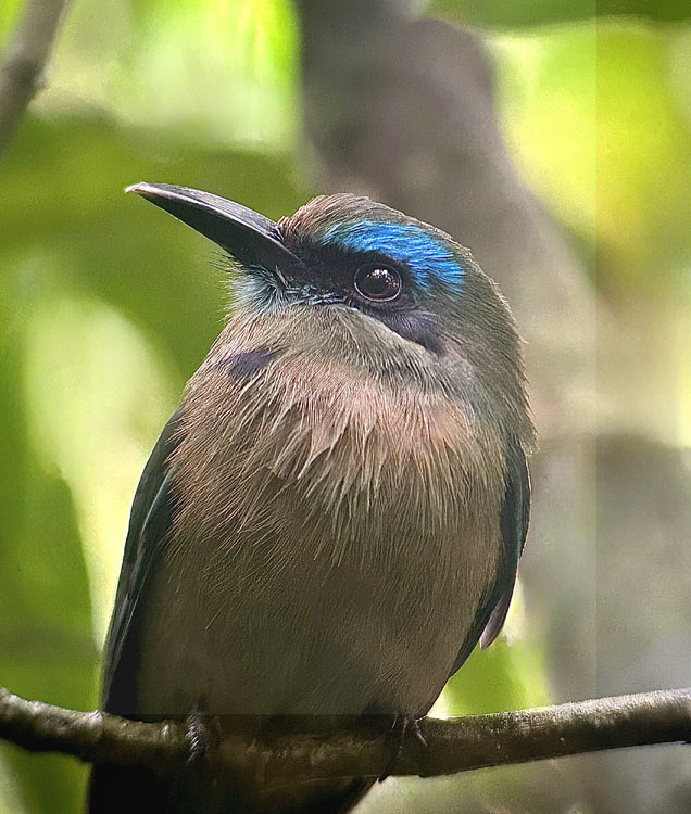 gallery-birdwatching-tour-38