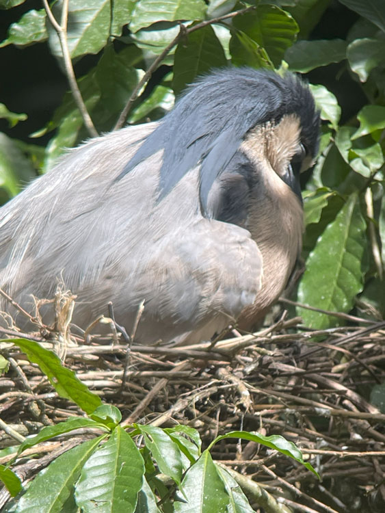 gallery-birdwatching-tour-42