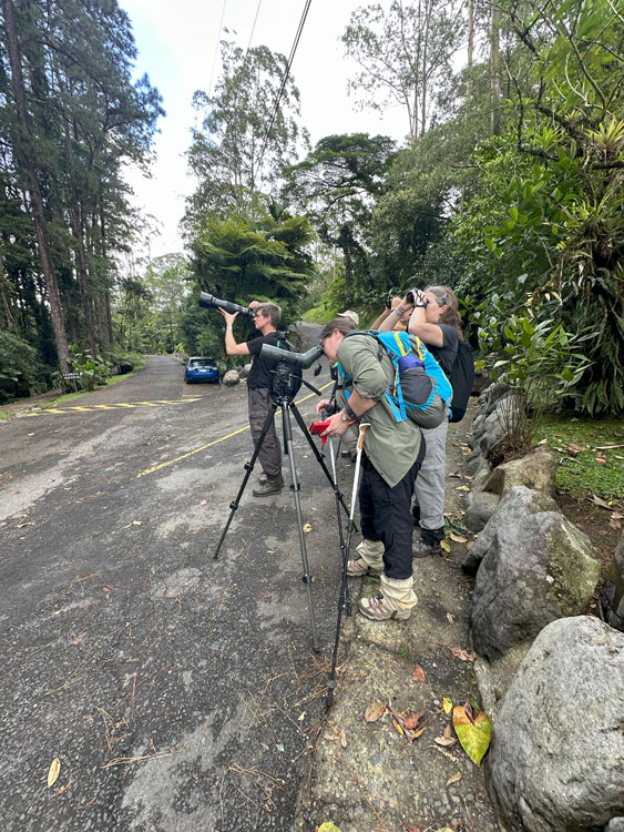 gallery-birdwatching-tour-54