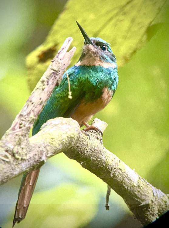 gallery-birdwatching-tour-55