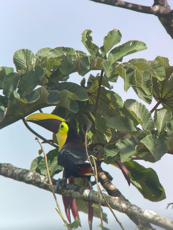 gallery-birdwatching-tour-59