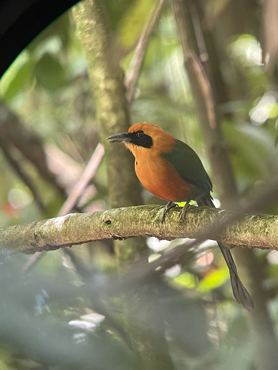 gallery-birdwatching-tour-69