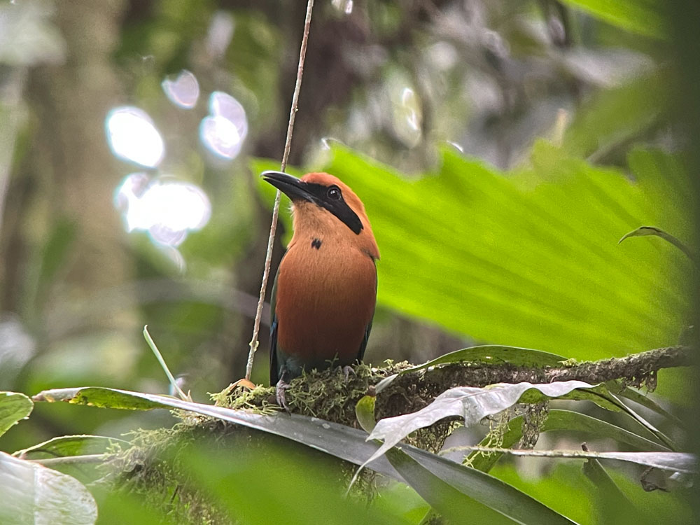 gallery-birdwatching-tour-75