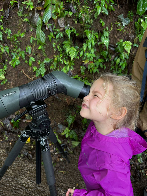 gallery-hanging-bridges-02