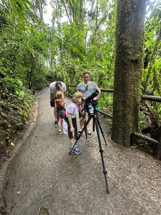 gallery-hanging-bridges-03