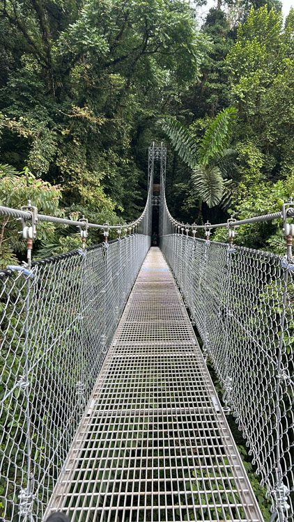 gallery-hanging-bridges-05