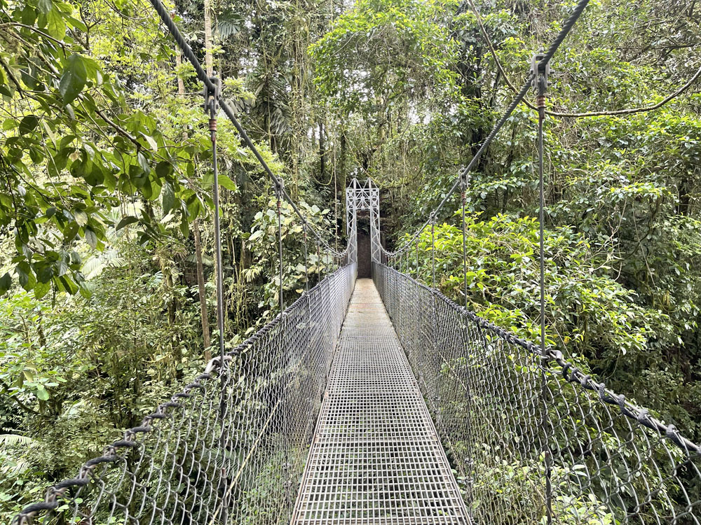 gallery-hanging-bridges-09