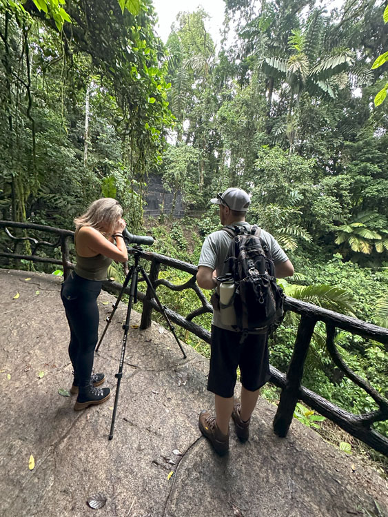 gallery-hanging-bridges-16