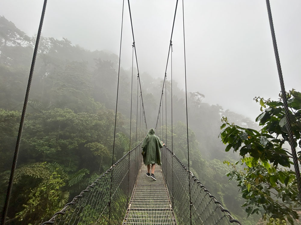 gallery-hanging-bridges-18