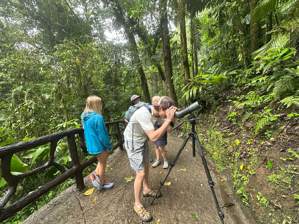 gallery-hanging-bridges-21