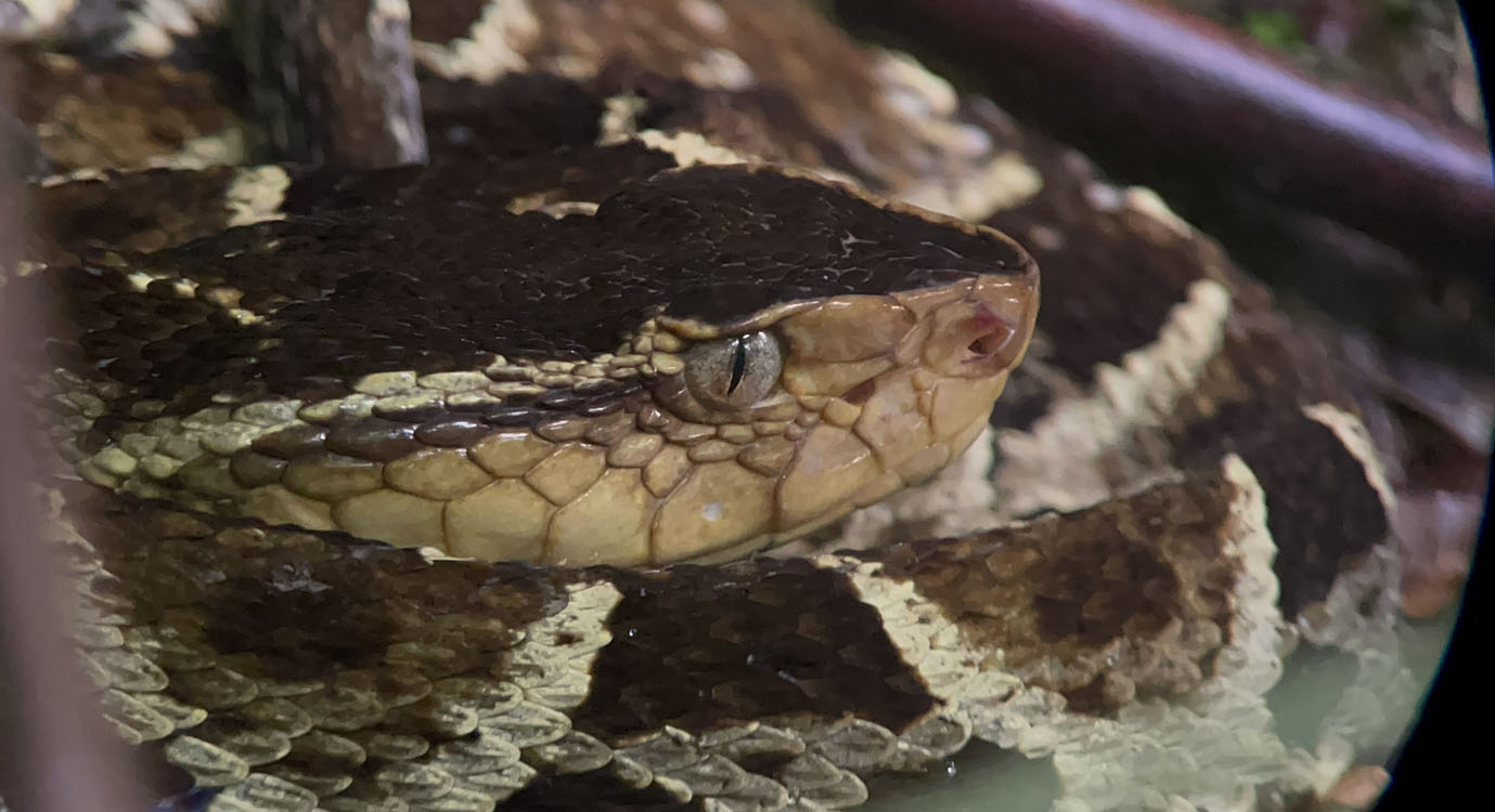 gallery-hanging-bridges-22