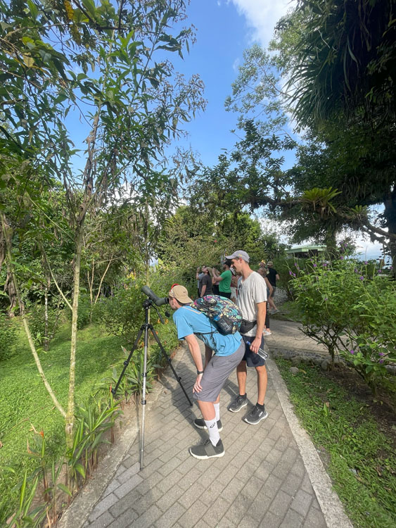 gallery-hanging-bridges-24