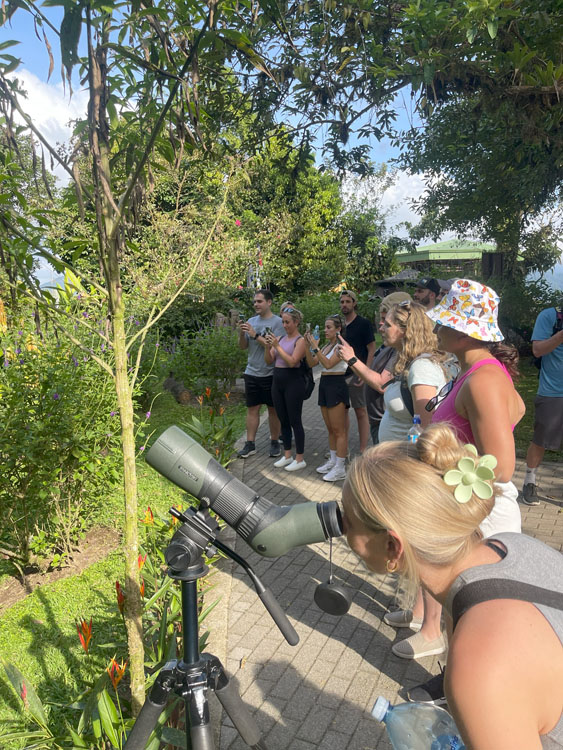 gallery-hanging-bridges-25