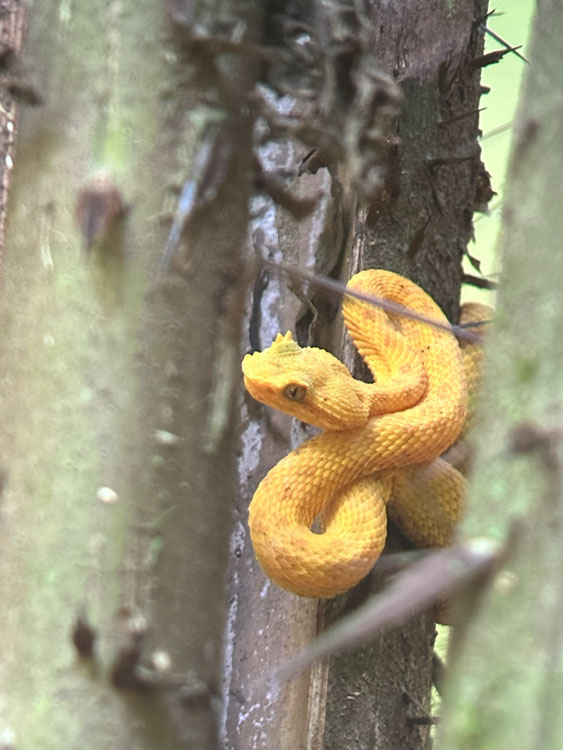 gallery-hanging-bridges-28