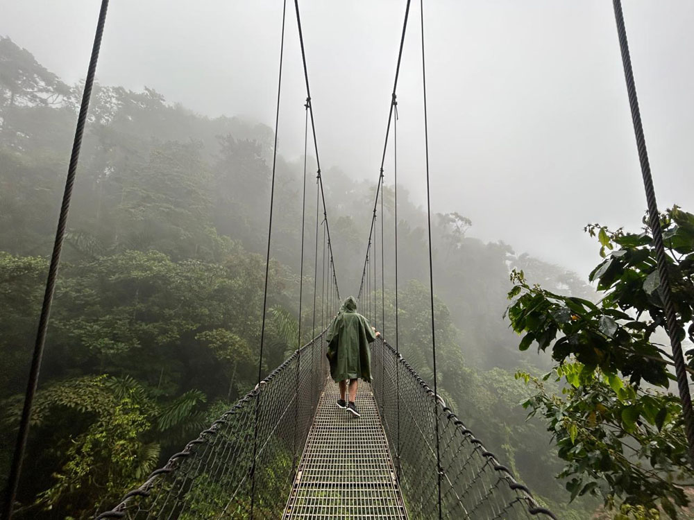 gallery-hanging-bridges-30