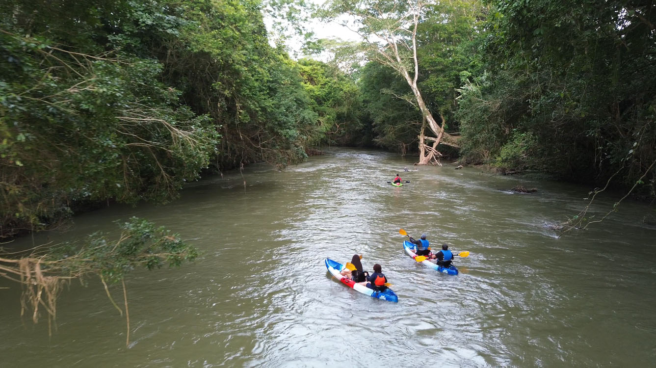 gallery-safari-float-07