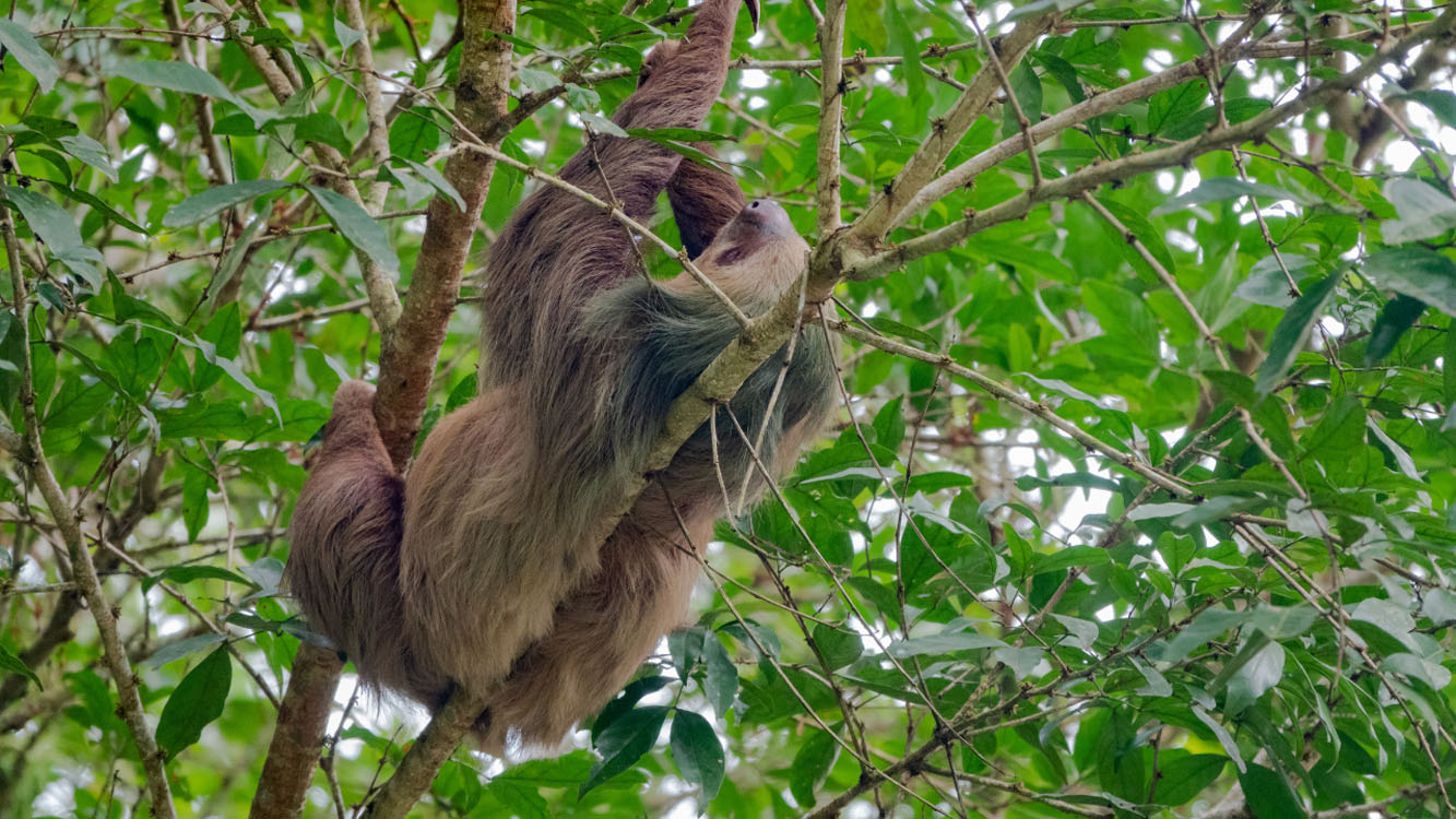 Sin título (1280 x 720 px) – 1