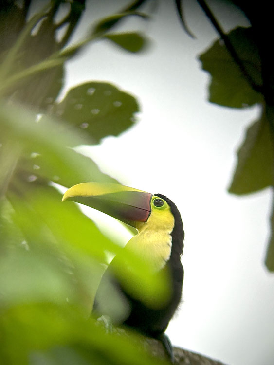 gallery-sloth-tour-07