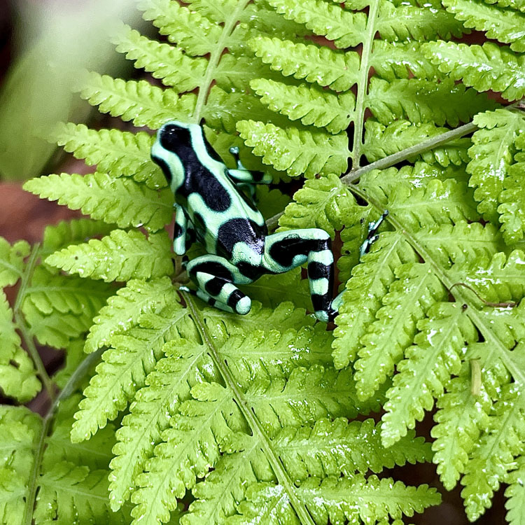 gallery-sloth-tour-08