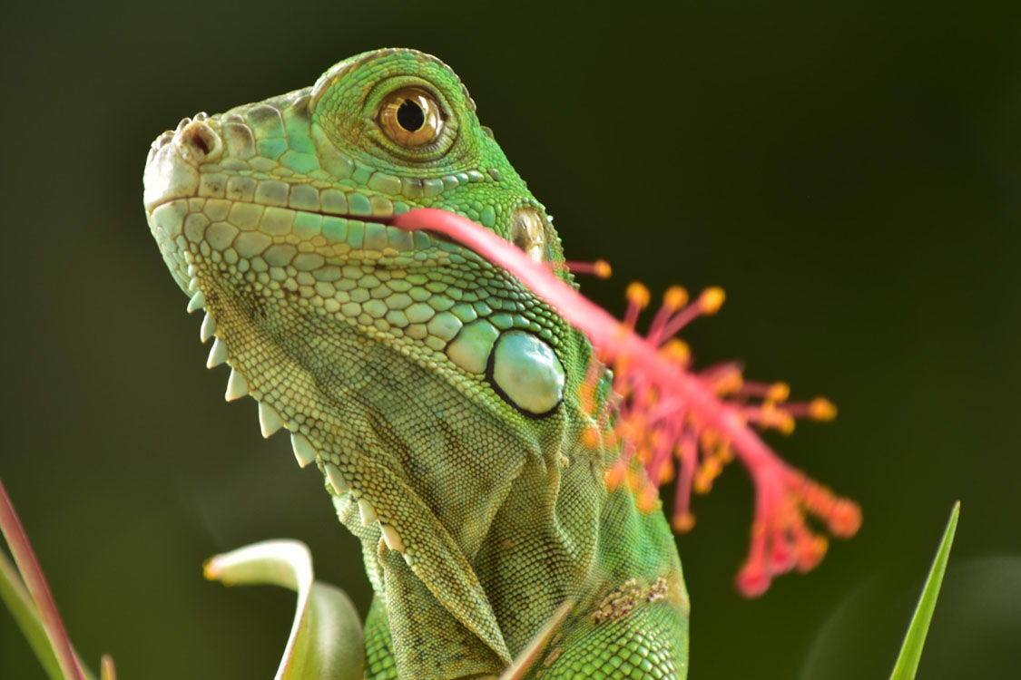 gallery-sloth-tour-10